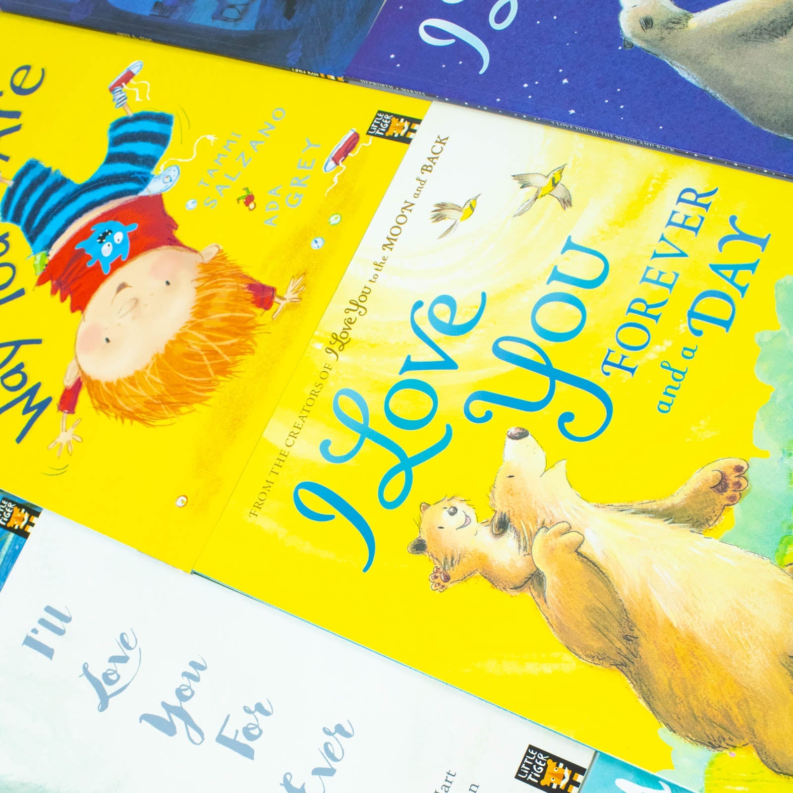 I Love You Series Children Picture 10 Books Collection Set (Moon and Black, Under the Stars, Just the Way You are, Forever and a Day, Brighter than the Stars, With all my Heart, Love you Forever & More) - Image 6