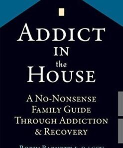 Addict In The House A No Nonsense Family Guide Through Addiction And Recovery