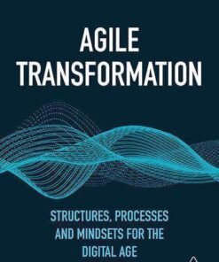 Agile Transformation Structures Processes And Mindsets For The Digital Age