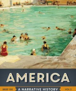 America A Narrative History Brief Volume 2 10Th Edition
