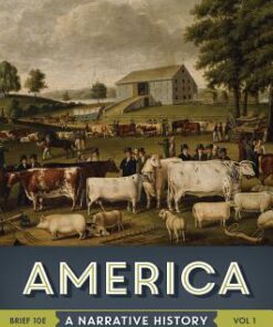 America A Narrative History Vol 1 10Th Edition