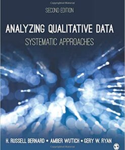 Analyzing Qualitative Data Systematic Approaches 2Nd Edition
