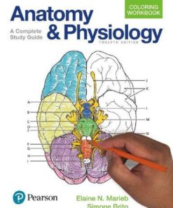 Anatomy And Physiology Coloring Workbook A Complete Study Guide 12Th Edition