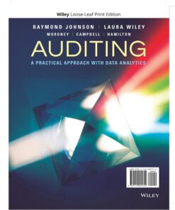 Auditing A Practical Approach With Data Analytics