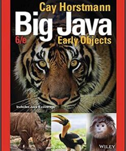 Big Java Early Objects 6Th Edition