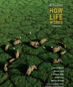 Biology How Life Works 3Rd Edition