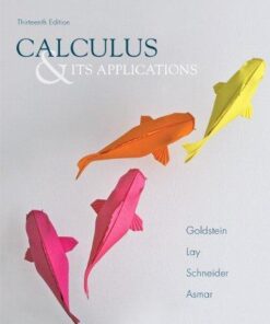 Calculus Its Applications 13Th Edition