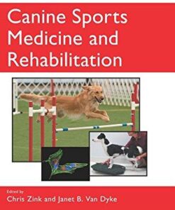 Canine Sports Medicine And Rehabilitation