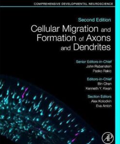 Cellular Migration And Formation Of Axons And Dendrites Comprehensive Developmental Neuroscience 2Nd Edition