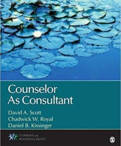Counselor As Consultant Counseling And Professional Identity