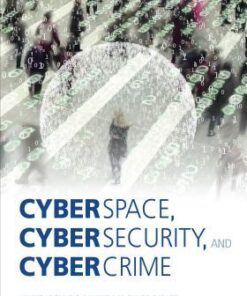 Cyberspace Cybersecurity And Cybercrime