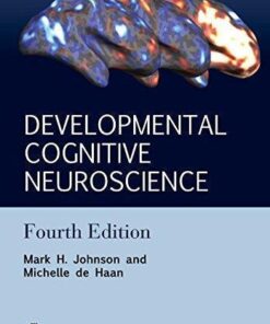 Developmental Cognitive Neuroscience An Introduction 4Th Edition