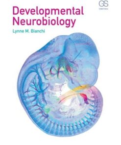 Developmental Neurobiology