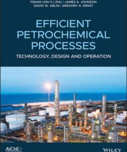 Efficient Petrochemical Processes Technology Design And Operation
