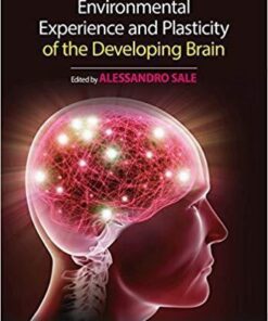 Environmental Experience And Plasticity Of The Developing Brain