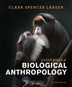 Essentials Of Biological Anthropology 4Th Edition
