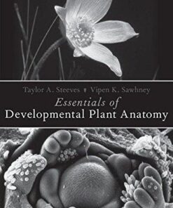 Essentials Of Developmental Plant Anatomy