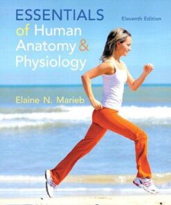 Essentials Of Human Anatomy Physiology 11Th Edition