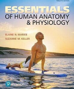 Essentials Of Human Anatomy Physiology 12Th Edition
