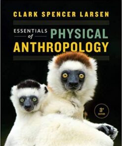 Essentials Of Physical Anthropology 3Rd Edition