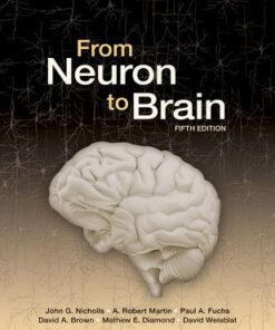 From Neuron To Brain 5th Edition