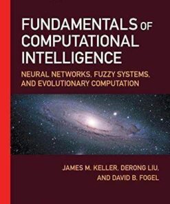 Fundamentals Of Computational Intelligence Neural Networks Fuzzy Systems And Evolutionary Computation