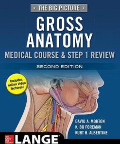 Gross Anatomy The Big Picture 2Nd Edition