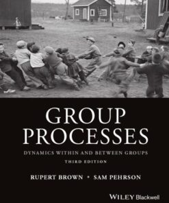Group Processes Dynamics Within And Between Groups 3Rd Edition