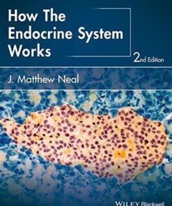 How The Endocrine System Works 2Nd Edition