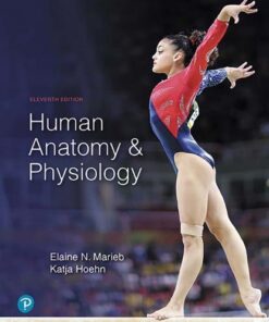 Human Anatomy And Physiology 11Th Edition