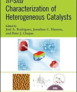 In Situ Characterization Of Heterogeneous Catalysts