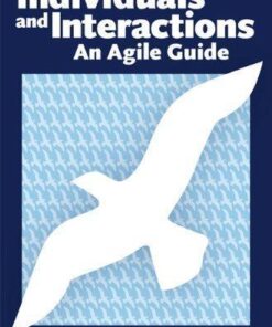 Individuals And Interactions An Agile Guide