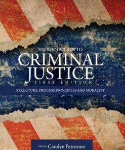 Introduction To Criminal Justice Structure Process Principles And Morality