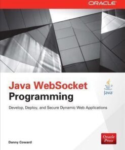 Java Websocket Programming