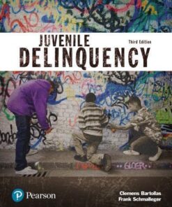 Juvenile Delinquency Justice Series 3Rd Edition