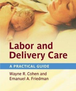 Labor And Delivery Care A Practical Guide