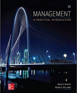 Management A Practical Introduction 8Th Edition