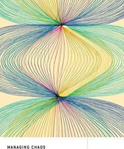 Managing Chaos Digital Governance