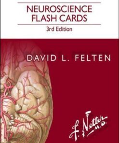 Netters Neuroscience Flash Cards 3Rd Edition