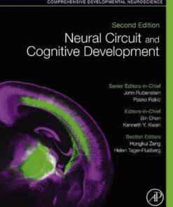Neural Circuit And Cognitive Development Comprehensive Developmental Neuroscience 2Nd Edition