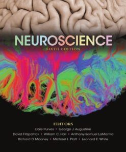 Neuroscience 6Th Edition