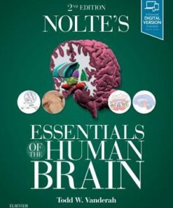 Noltes Essentials Of The Human Brain 2Nd Edition