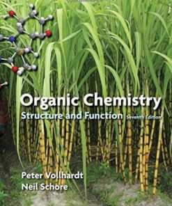 Organic Chemistry Structure And Function 7Th Edition