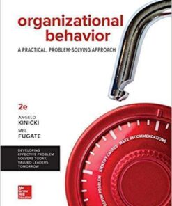Organizational Behavior A Practical Problem Solving Approach 2Nd Edition