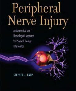 Peripheral Nerve Injury An Anatomical And Physiological Approach For Physical Therapy Intervention