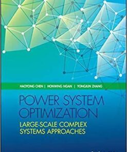 Power System Optimization Large Scale Complex Systems Approaches
