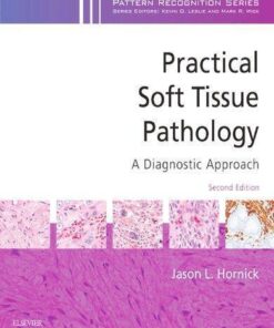 Practical Soft Tissue Pathology A Diagnostic Approach A Volume In The Pattern Recognition Series 2Nd Edition