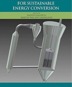 Process Intensification For Sustainable Energy Conversion