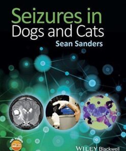 Seizures In Dogs And Cats