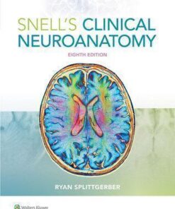 Snells Clinical Neuroanatomy 8Th Edition